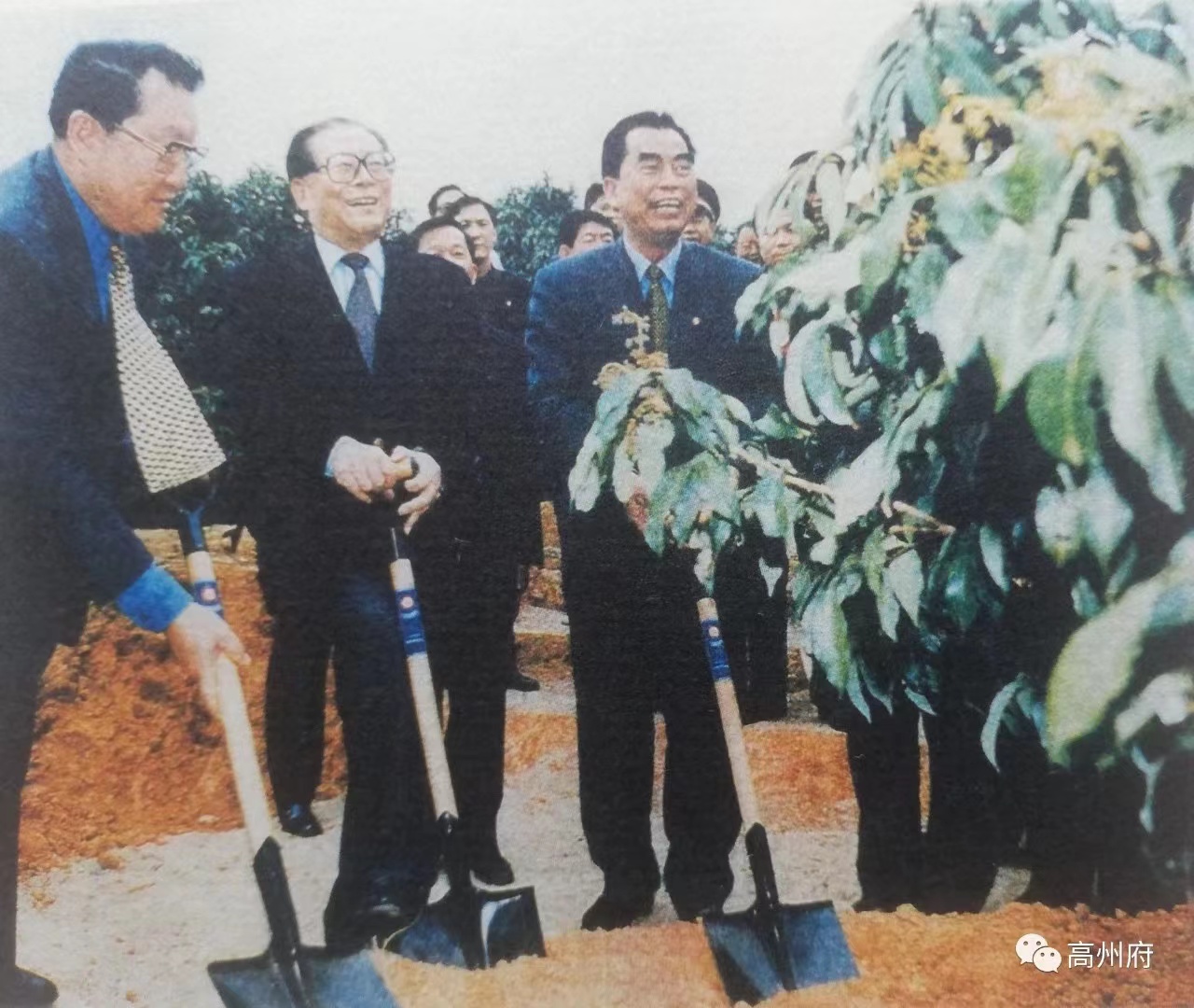 j9九游国际站电保-中国荔枝博物馆智慧用电刷新